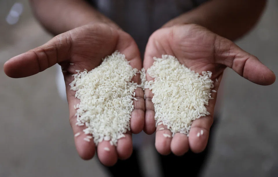 India’s rice output is expected to drop this fiscal year for the first time in eight years, raising the prospect of New Delhi extending curbs on exports of the grain to control food prices in the lead-up to elections.