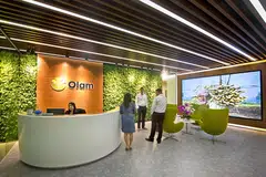 Olam Group shares jumped as much as 3.4 per cent on Friday, touching their highest intraday level in nearly six months.