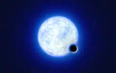 An extremely luminous and hot blue star with a mass about 25 times that of the sun orbits with this black hole in a stellar marriage. 