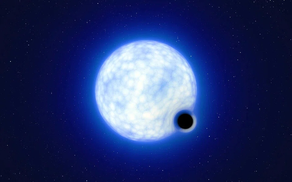 An extremely luminous and hot blue star with a mass about 25 times that of the sun orbits with this black hole in a stellar marriage. 