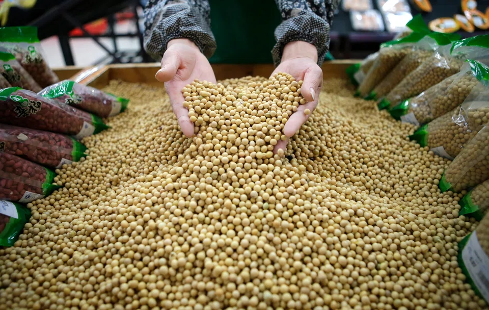 China has boosted its domestic soybean production significantly in the last two years by promoting more planting to reduce its reliance on overseas imports.
