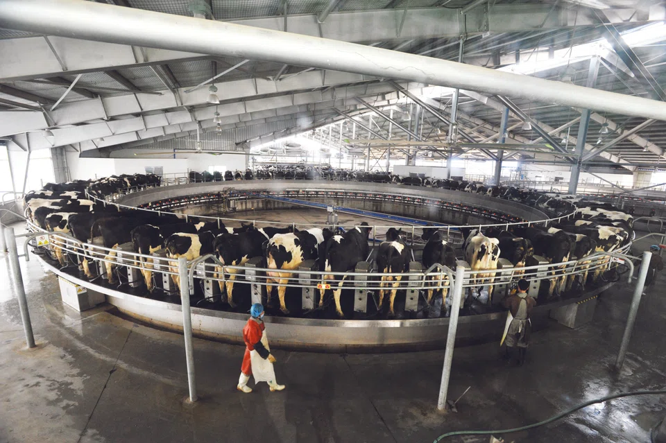 AustAsia is the China-focused milk business of Japfa. 