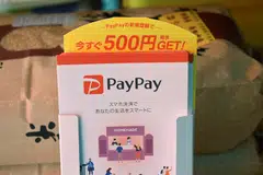 PayPay, which offers QR-code payment services, is used by more than 55 million people in Japan, making it a top player in a crowded digital-payments market.