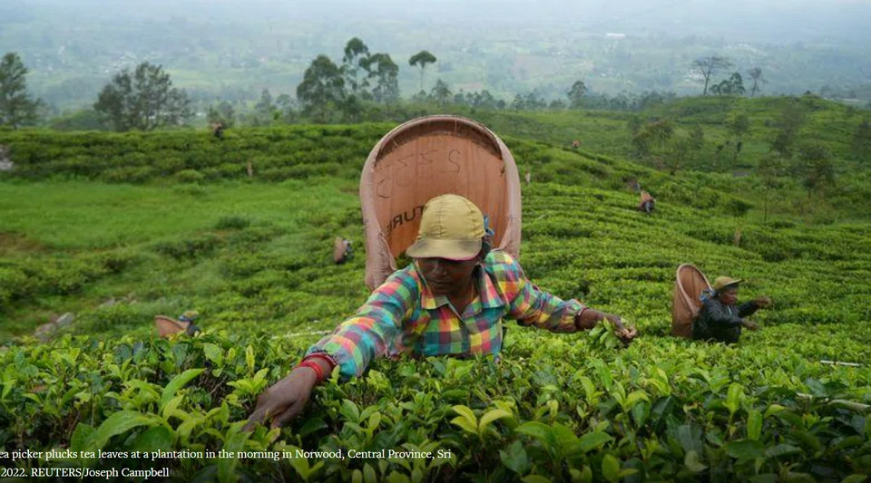 The barter deal allows sanctions-hit Iran to avoid having to use scarce hard currency to pay for imports of popular tea. It also allowed Sri Lanka to pay with tea, as the country was short of foreign currency.