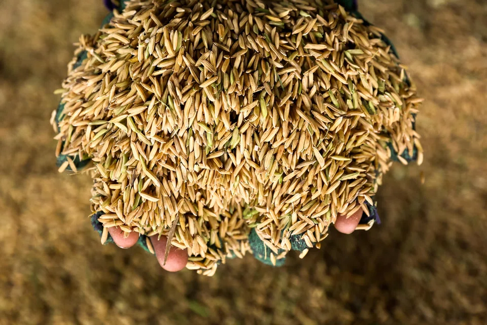 Malaysia imports about 38 per cent of its rice needs and is among several countries affected by export restrictions imposed by producers such as India.