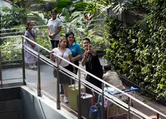 In August, China retains its spot as the top source of visitors to Singapore, followed by Indonesia, Malaysia, India and Australia.