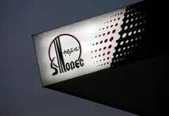 The new joint venture will have a registered capital of about 623 million yuan, Sinopec said. 