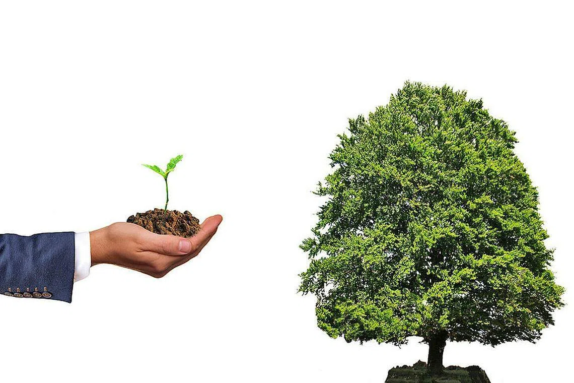 Investment advice I wish I knew when I was 25 years old