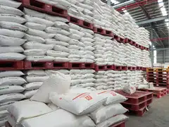 Wilmar reported a 55.1 per cent jump in net profit for its first half, on the back of improved performance across all key business segments and higher contributions from associates and joint ventures.