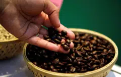 India – famous as a tea producer – is also the world’s eighth-largest coffee grower, mainly churning out the robusta beans used to make instant coffee. 