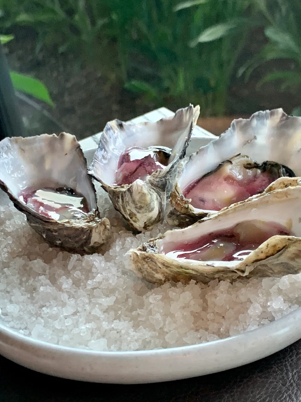 Oysters, fig leaf and oyster plant vinegar.
