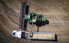 Australia has been a rare beneficiary of Russia’s aggression towards Ukraine that sent commodity and energy prices soaring, pushing its terms of trade to new highs.