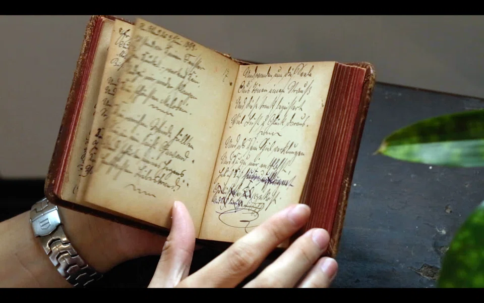 Shubigi Rao's exhibit at Venice Biennale examines the history of book destruction