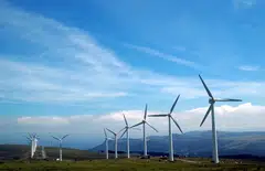 ADB's analysis has found that the effect of new environmental elements in bilateral investment treaties is “positive and significant” for total FDI and green FDI. 