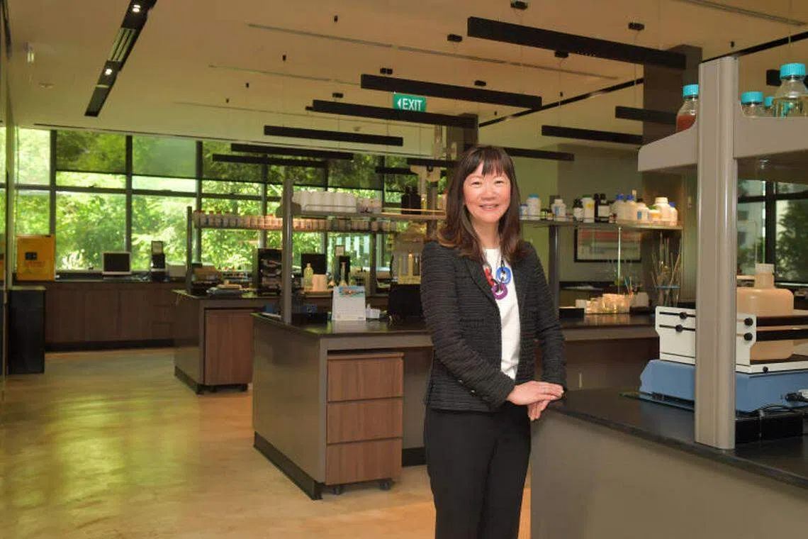 May Ng, chief executive officer of Pan-United Corporation, notes: “When these RMC companies use our solutions for sustainability, we can expand the positive impact of our decarbonisation efforts beyond our geographical footprint. This network of like-minded RMC companies can generate or stimulate more ideas to accelerate decarbonisation.”