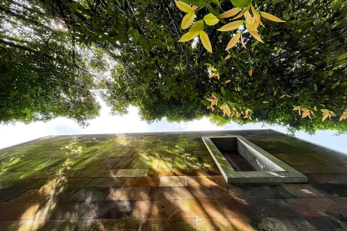 Companies should ensure they have a robust and effective governance structure and compliance system, as well as clear guidelines when making statements open for public scrutiny.