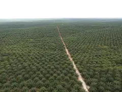 The latest results bring the group’s earnings for the first half of the fiscal year to 1.19 trillion rupiah.