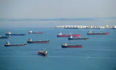 Inodonesian carrier Samudera Shipping has benefited from pandemic-fuelled e-commerce and logistics demand.