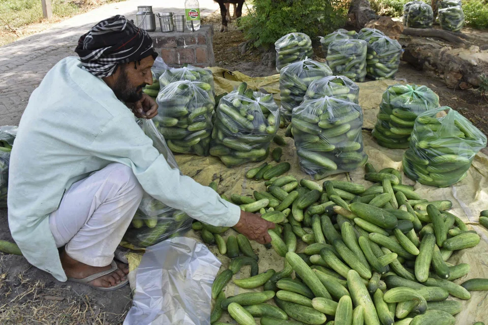 AI enables organisations to help support the financial journeys of unbanked and underbanked consumers. 