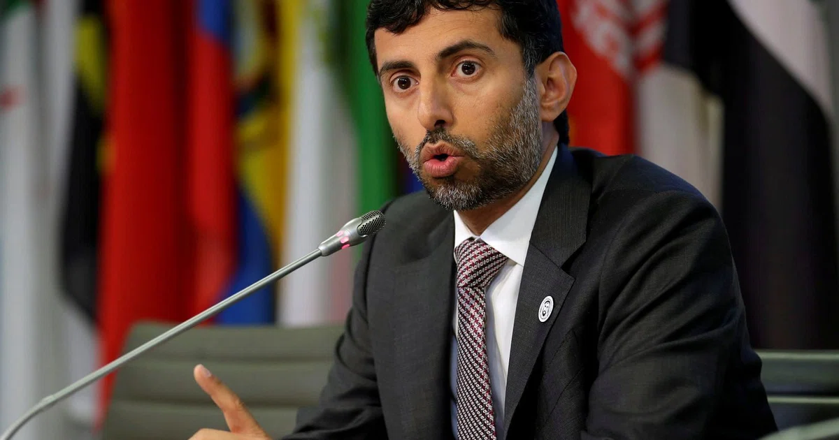 Opec does not want to see volatility in oil prices: Opec president ...