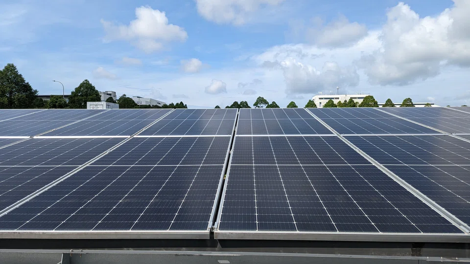 A new solar farm at Tuas industrial estate can power about 4,700 4-room Housing Board flats a year. 
