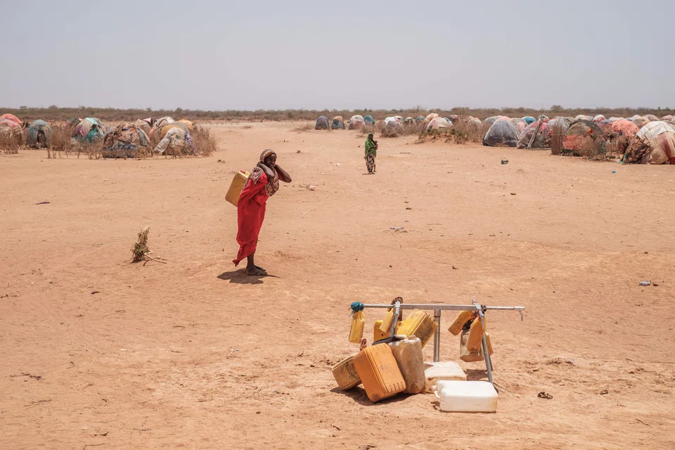 The severe drought in the Horn of Africa has pushed people to the brink of starvation says the head of the UN Food and Agriculture Organisation (FAO).