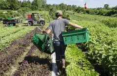 Policy actions recommended in the FAO report include boosting land ownership by women, improving access to childcare and increasing social protection, which can enhance employment and resilience. 