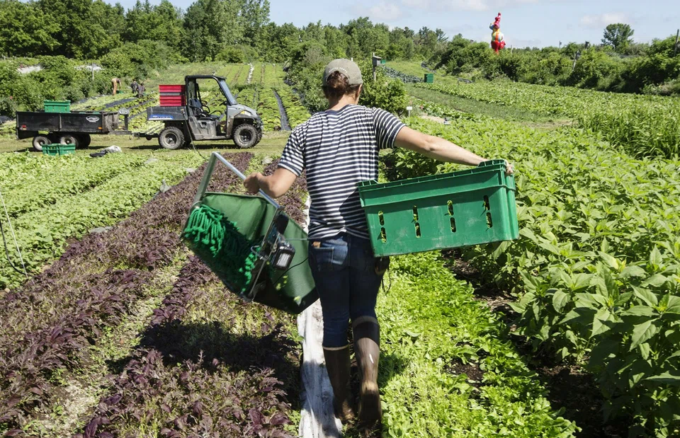 Policy actions recommended in the FAO report include boosting land ownership by women, improving access to childcare and increasing social protection, which can enhance employment and resilience. 