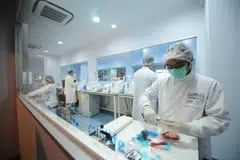 Cordlife is at the centre of a shareholder dispute, with separate requisition letters to remove directors from its board by Phillip Securities – acting as a nominee for Nanjing Xinjiekou – and TransGlobal.