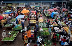 Food inflation, which accounts for nearly half of the overall consumer price basket, rose 8.66 per cent in February, compared with an 8.30 per cent rise in January.