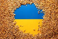 Ukraine’s larger farm sizes make the country’s grain exports cheaper, and that is pushing EU farmers out of their traditional export markets, say ministers from its neighouring countries.
