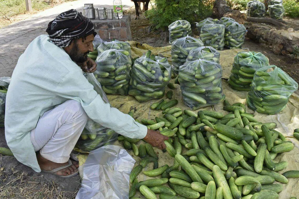 AI enables organisations to help support the financial journeys of unbanked and underbanked consumers. 