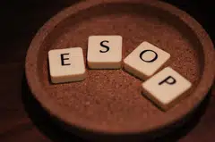 Startups commonly provide Esop to workers as a form of deferred compensation or work benefit. 