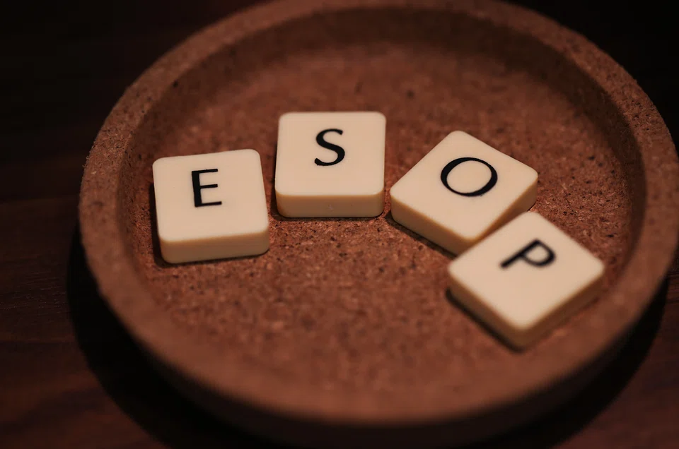 Startups commonly provide Esop to workers as a form of deferred compensation or work benefit. 