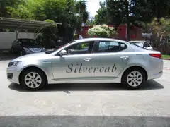 Property development firm BS Capital Group says its subsidiary Carros Project Management has successfully purchased 100% of the shares in Premier Corporation. This opens the way for it to take control of Premier Taxis.