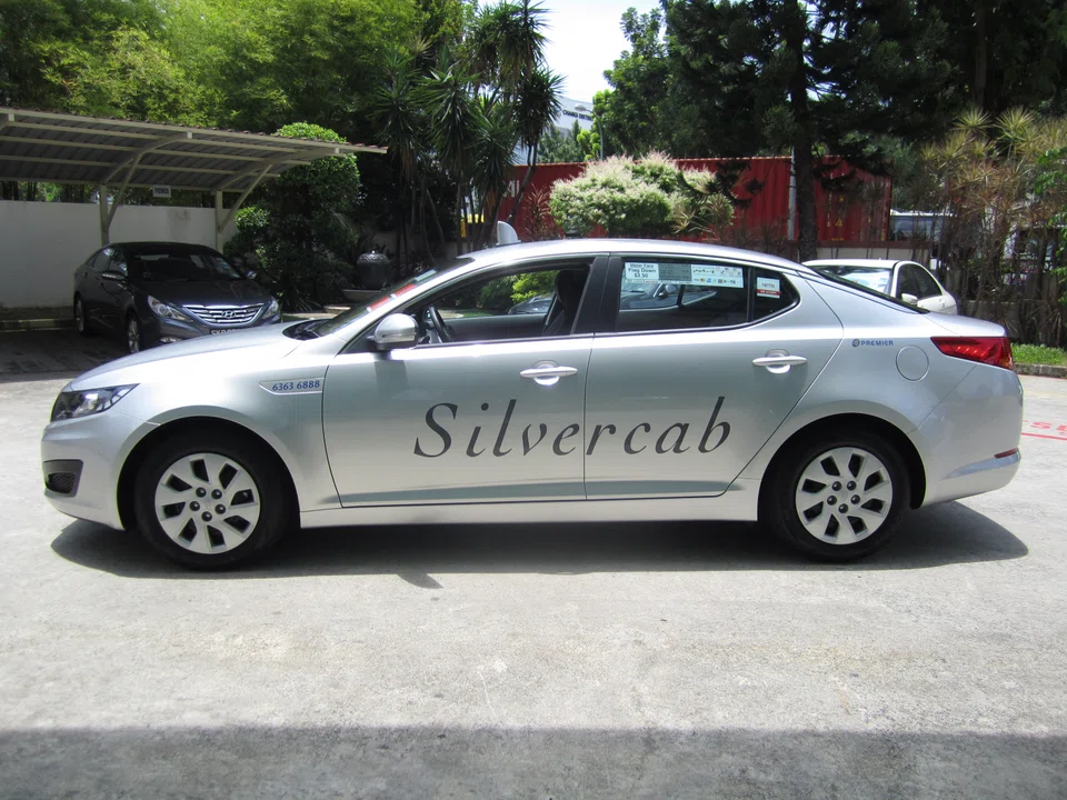 Property development firm BS Capital Group says its subsidiary Carros Project Management has successfully purchased 100% of the shares in Premier Corporation. This opens the way for it to take control of Premier Taxis.