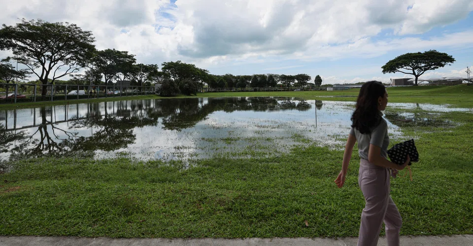 Biodiversity concerns and a just transition to a low-carbon economy are becoming more important to investors, Robeco's survey says