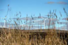 Wind turbines at the Waubra Wind Farm in Victoria, Australia. Until green energy can be produced at scale, divestment from hydrocarbons may raise energy prices for all.