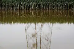 China’s agriculture ministry says floods due to Typhoon Doksuri are impacting some low lying corn-producing areas in the northeast.