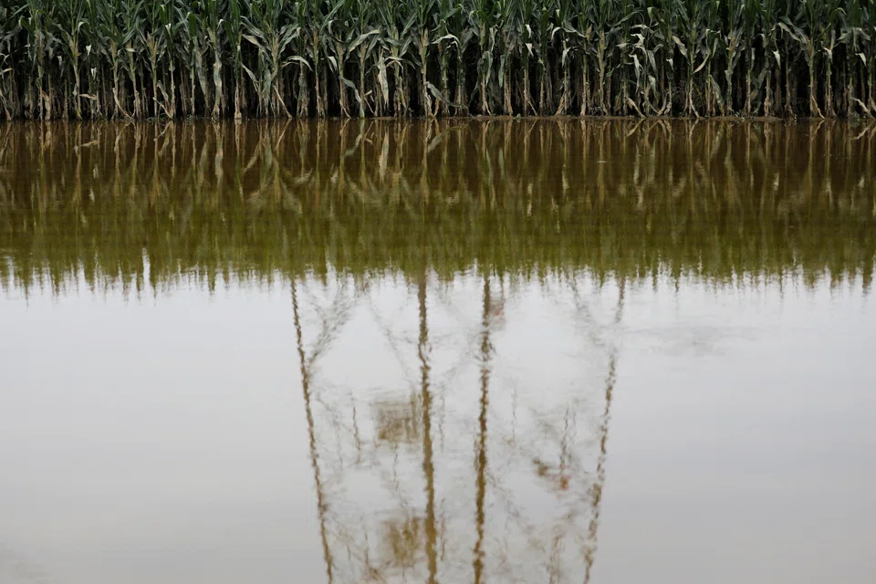 China’s agriculture ministry says floods due to Typhoon Doksuri are impacting some low lying corn-producing areas in the northeast.