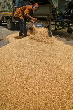  The suspension of trading in futures contracts would continue until Dec 20, 2023, on soybean and its derivatives, crude palm oil, wheat, paddy rice, chickpea, green gram and rapeseed mustard.