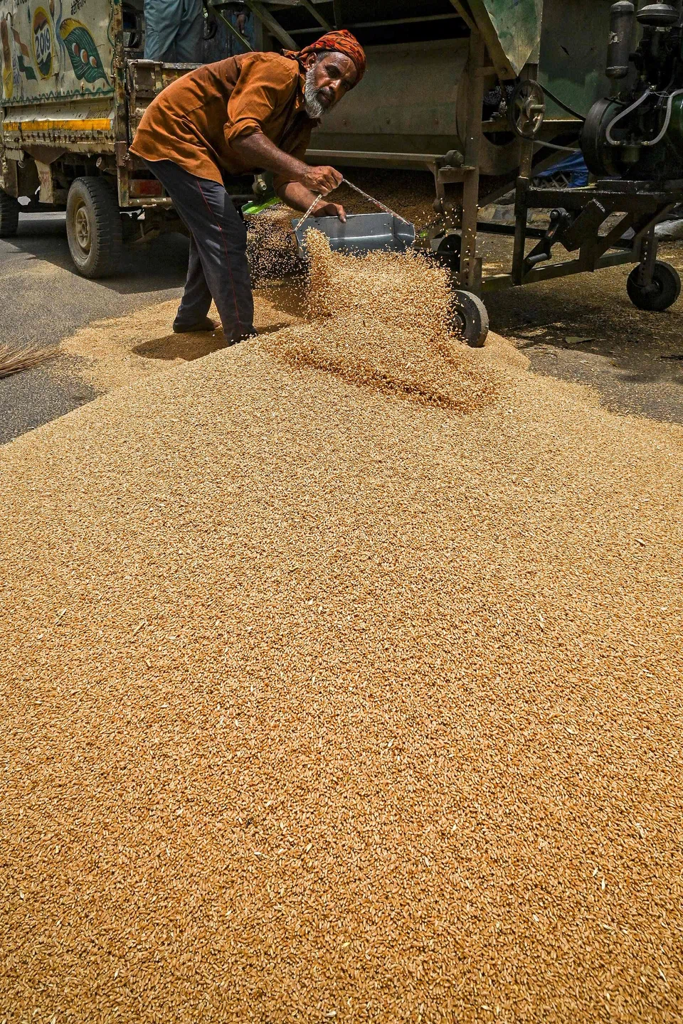 India has raised the price at which it will buy the new-season common rice paddy variety from local farmers by 5.2 per cent, the biggest increase in five years