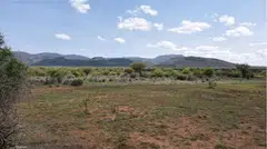 Survival International has slammed the Northern Kenya Rangelands Carbon Project as making millions from “breaking down” indigenous people’s traditional grazing systems and replacing them with a centrally controlled system more akin to commercial ranching.