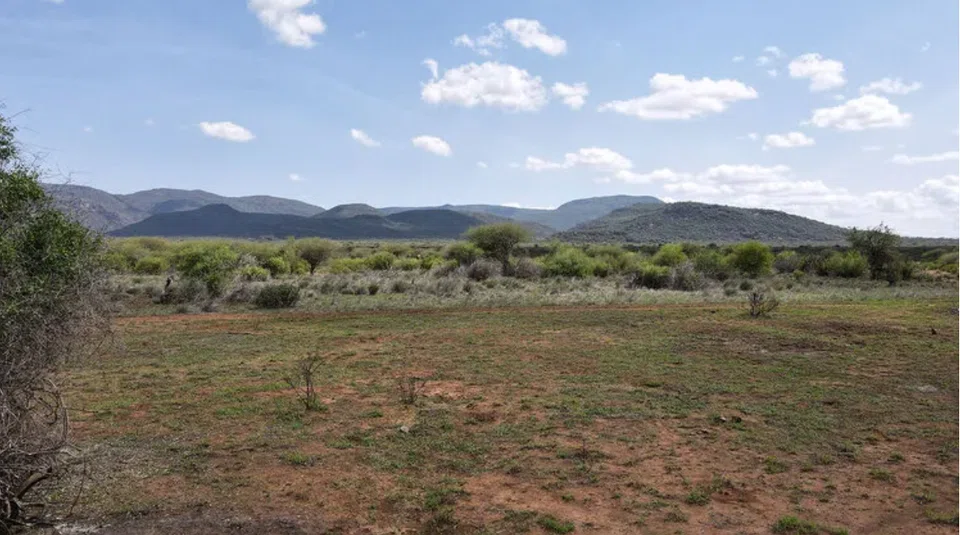 Survival International has slammed the Northern Kenya Rangelands Carbon Project as making millions from “breaking down” indigenous people’s traditional grazing systems and replacing them with a centrally controlled system more akin to commercial ranching.