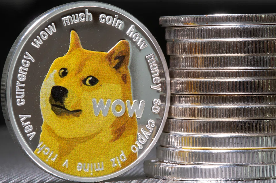 Dogecoin and shiba inu, the eighth and 15th largest cryptocurrencies respectively, often experience wild price swings.