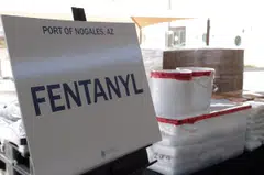 “Illicit fentanyl is responsible for the deaths of tens of thousands of Americans each year,” the Treasury’s under secretary for terrorism and financial intelligence, Brian Nelson, said in the statement.