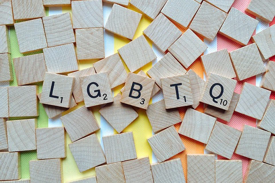 Section 377A has caused some LGBTQ individuals to fear their work prospects, with some worrying that they might be denied promotions, said Sengkang MP Louis Chua. 