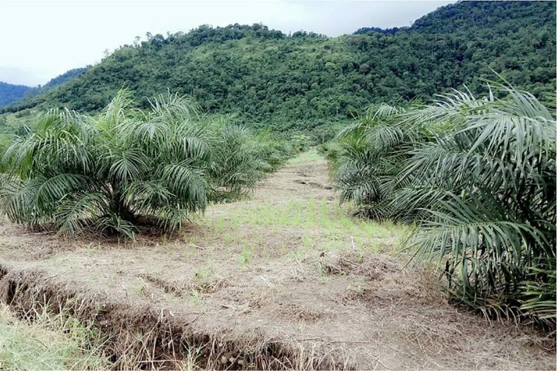 Advanced takes big step towards new business