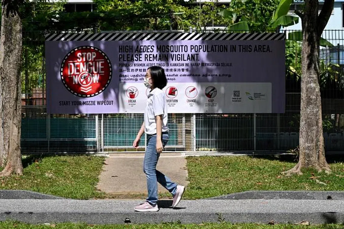 The Zika case comes amid a surge in dengue infections this year. 