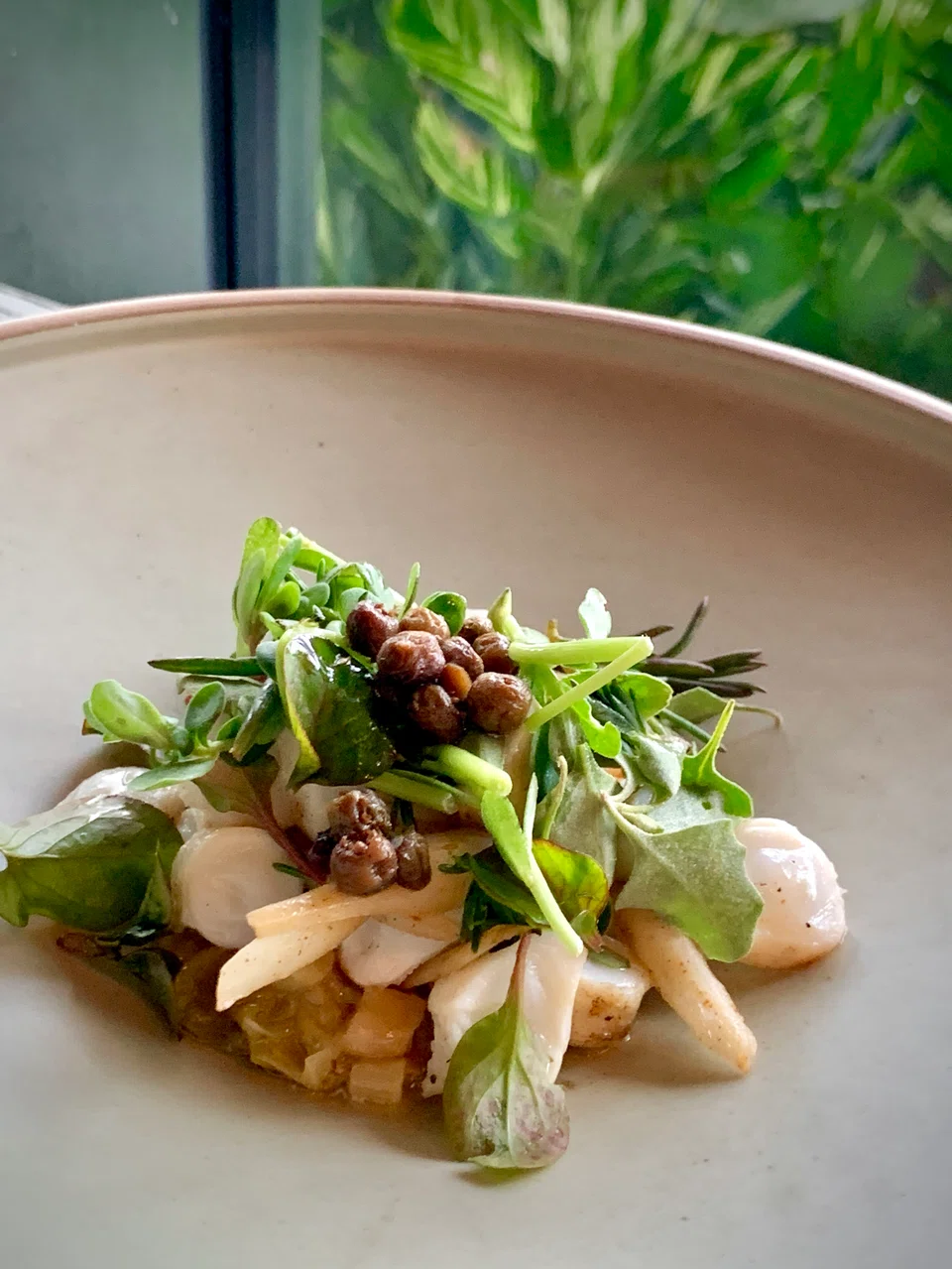 Octopus, braised leeks, boab and muntries.